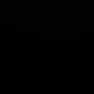 Meet your Posher, Marlon